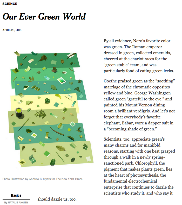 Screen Shot 2015-09-03 at 5.24.21 PM.png