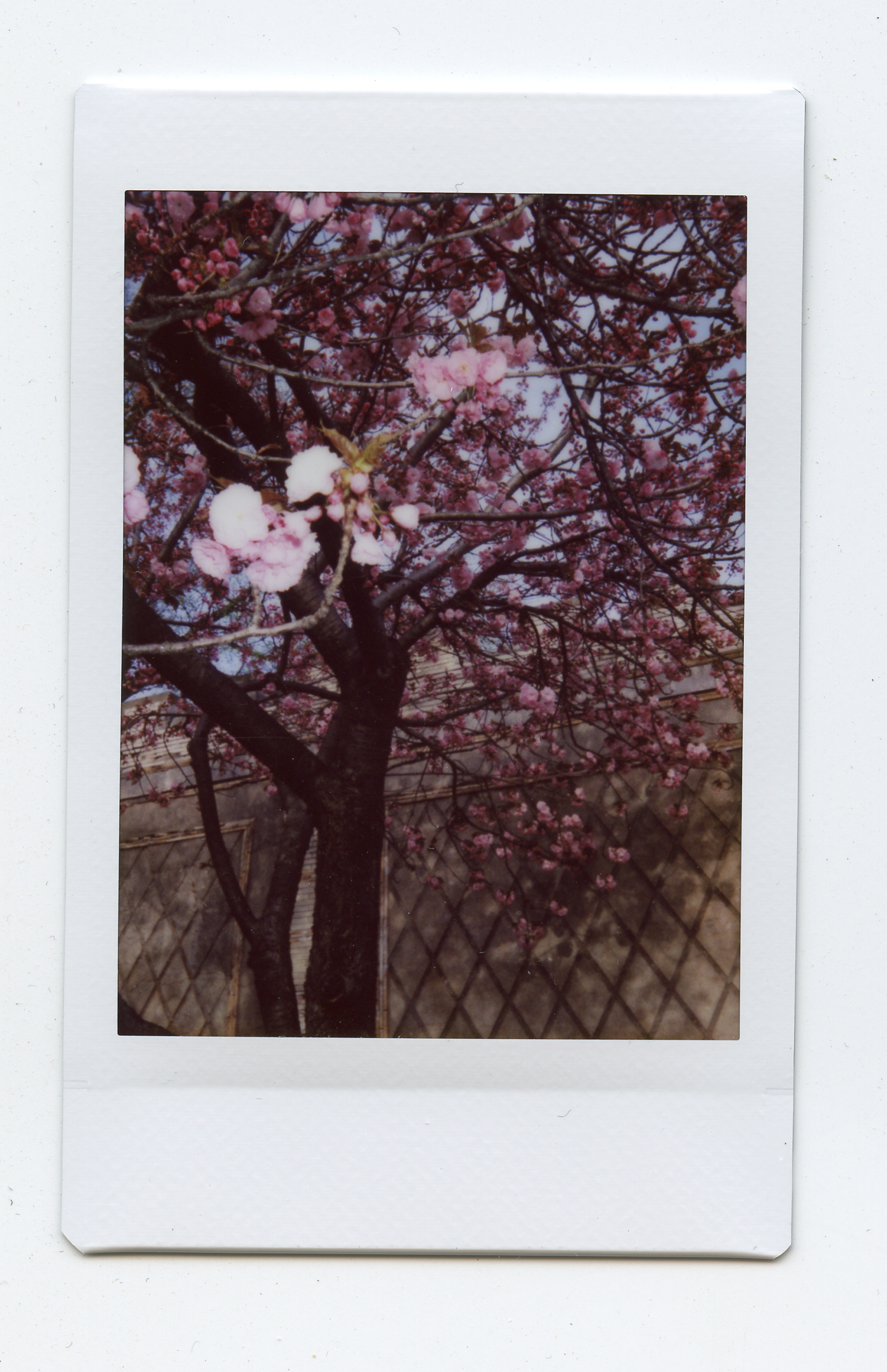 Yonkers, NY
