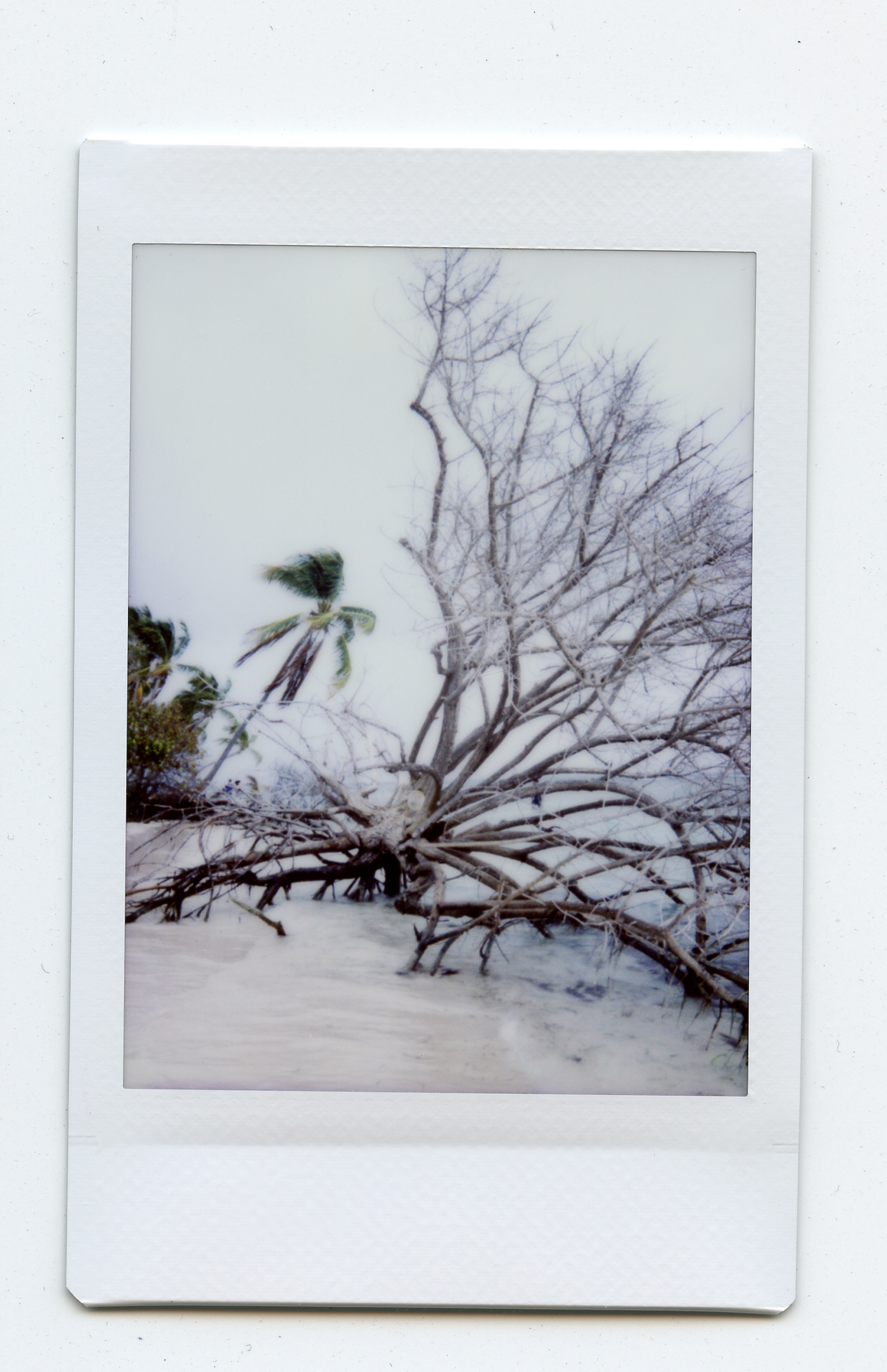 Isla Palomino, Fajardo, Puerto Rico