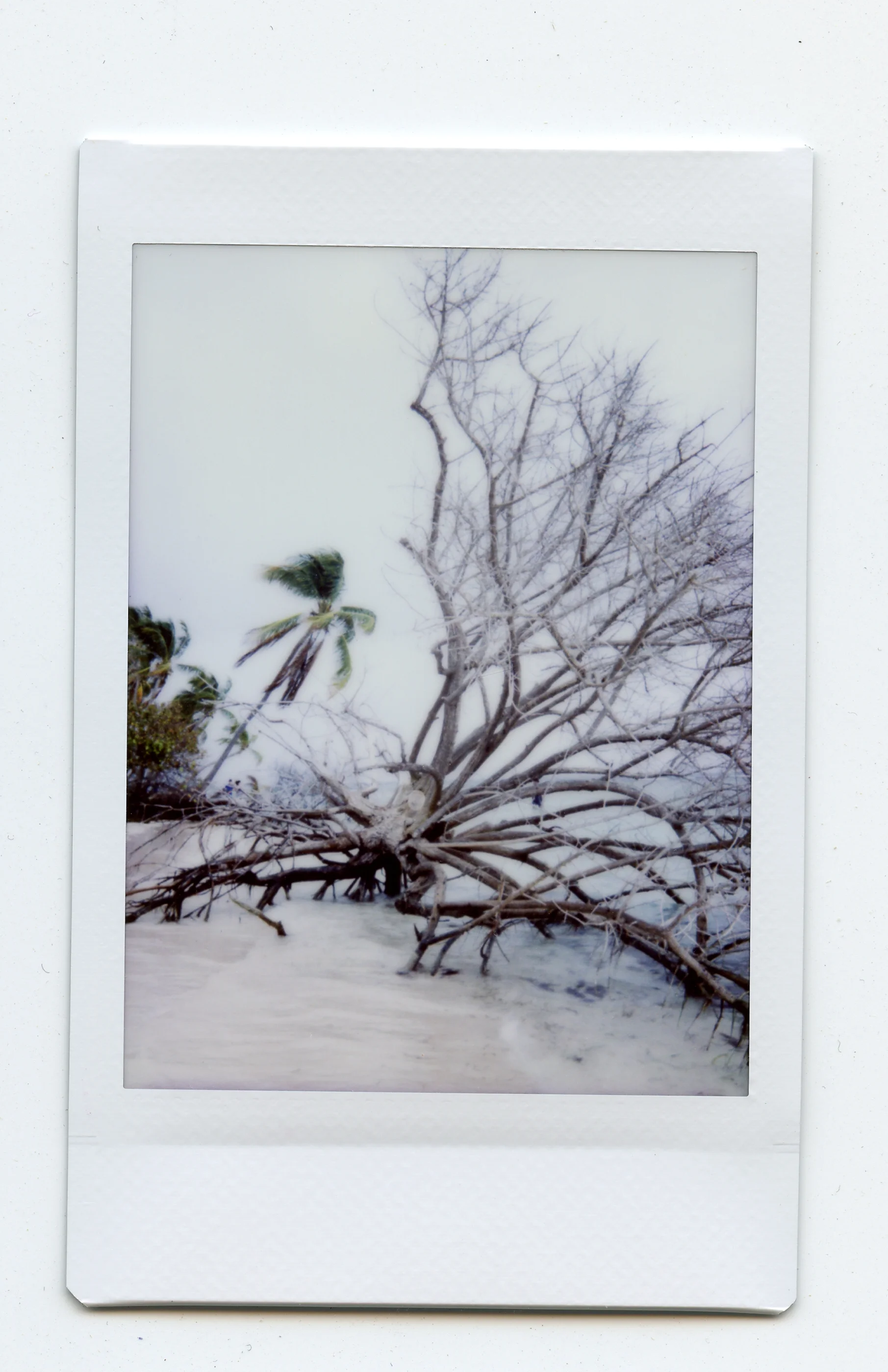 Isla Palomino, Fajardo, Puerto Rico