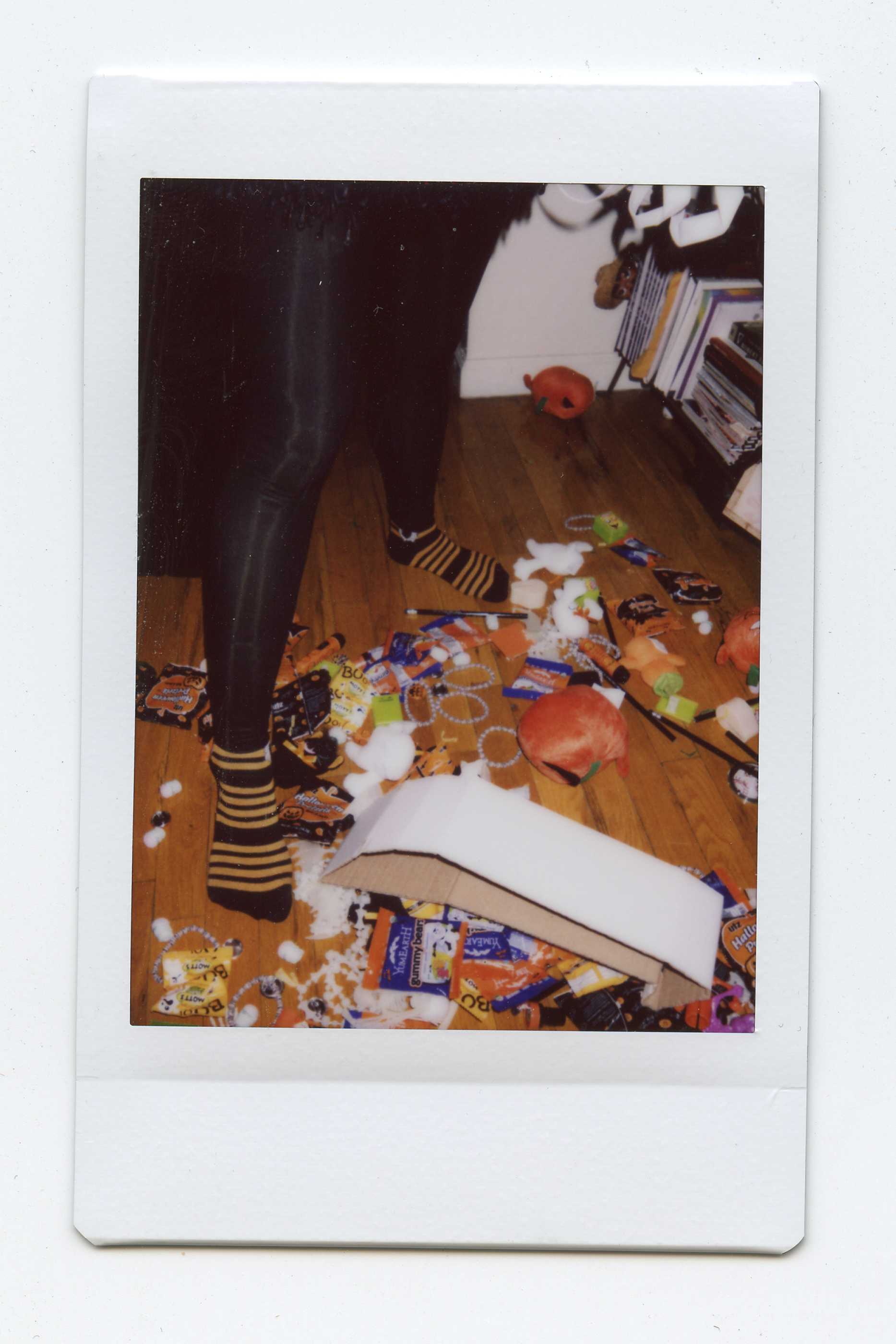 Crown Heights, Brooklyn, NY