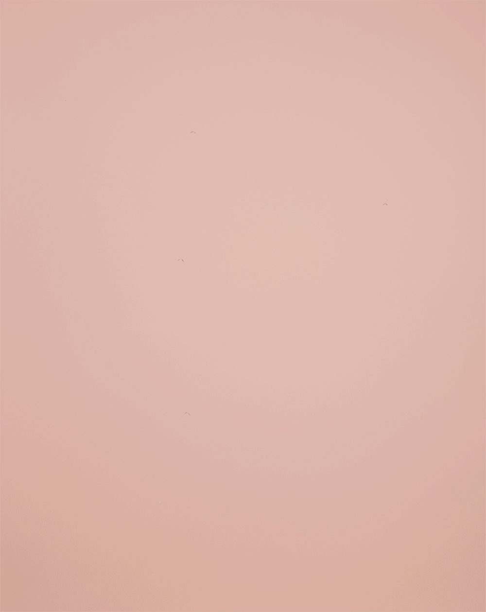 GIF_1b.gif