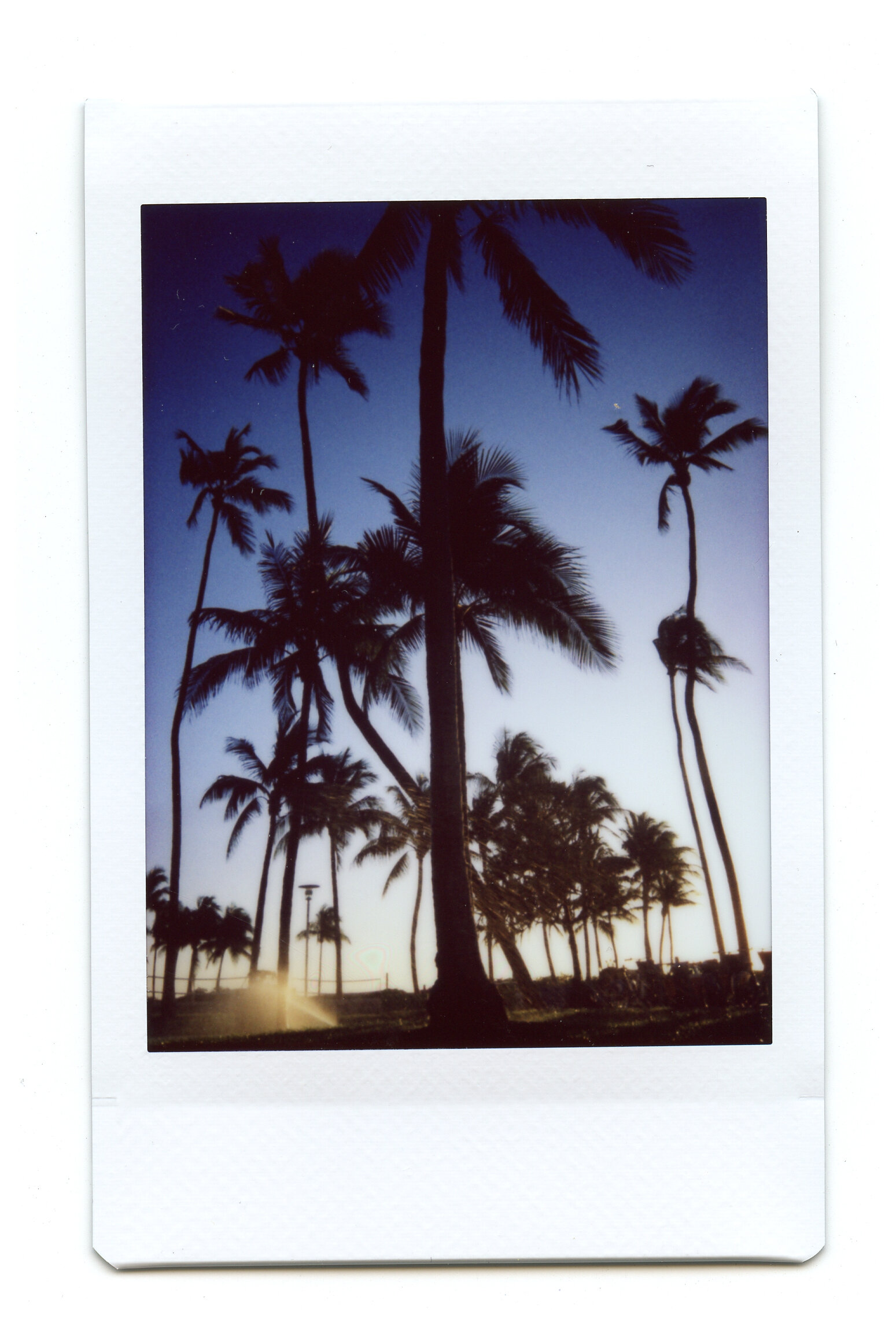 Miami Beach, FL
