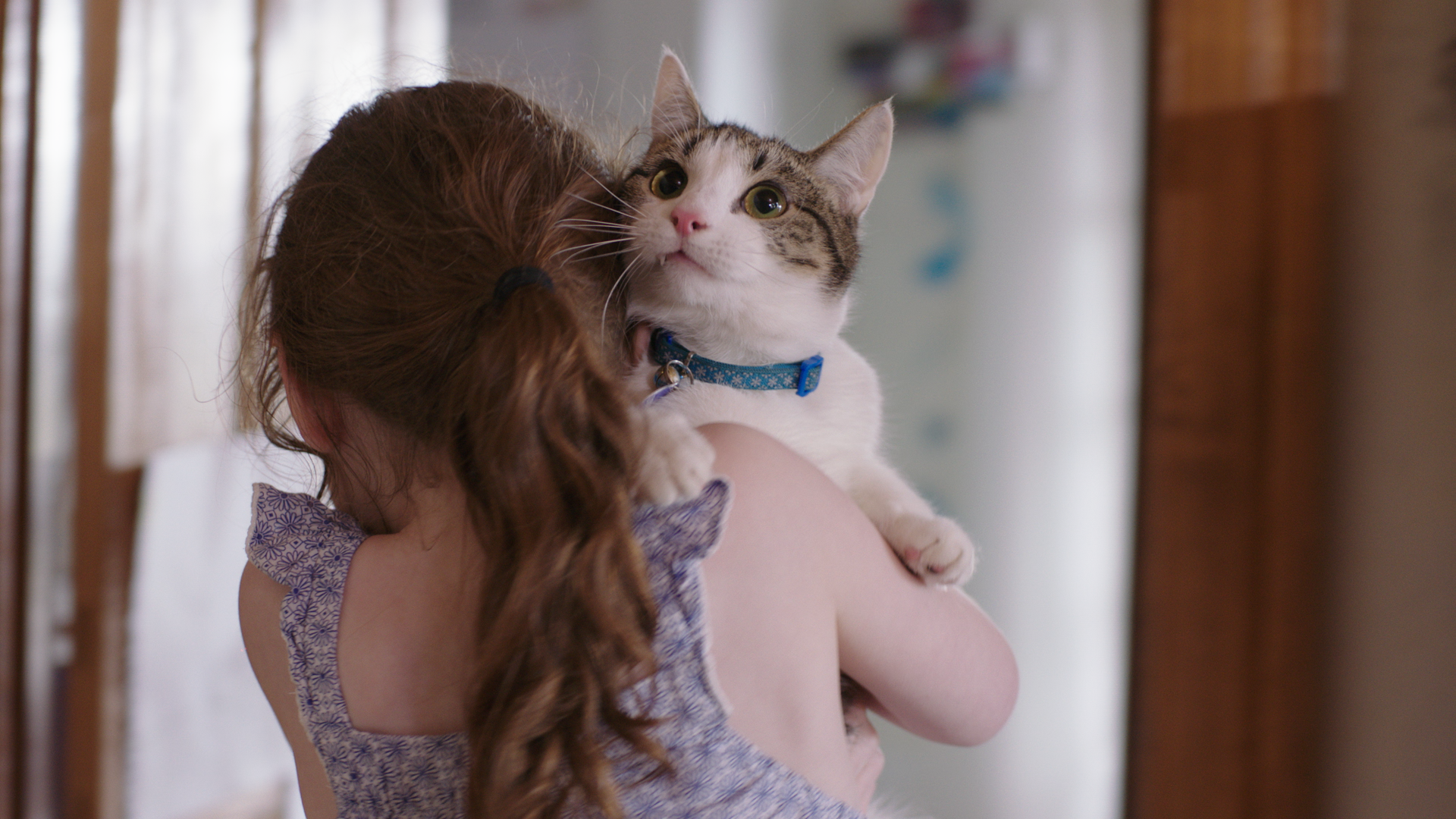 RSPCA  - "Survival"