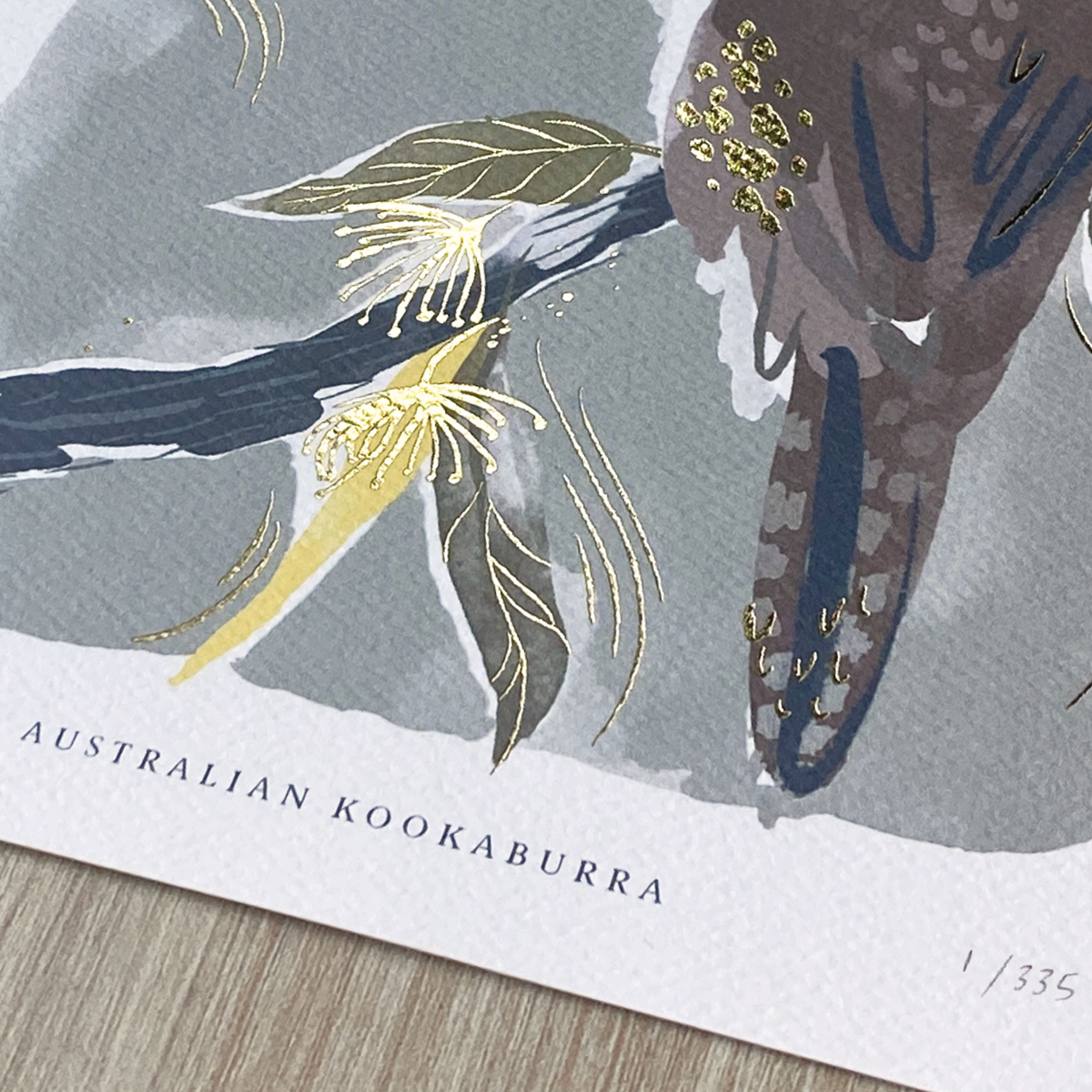 Janice Law Design Kookaburra Illustration3.png