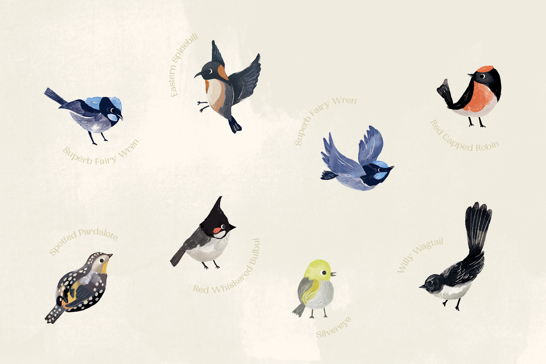 Janice Law Design Birdbath Illustration Flock.png