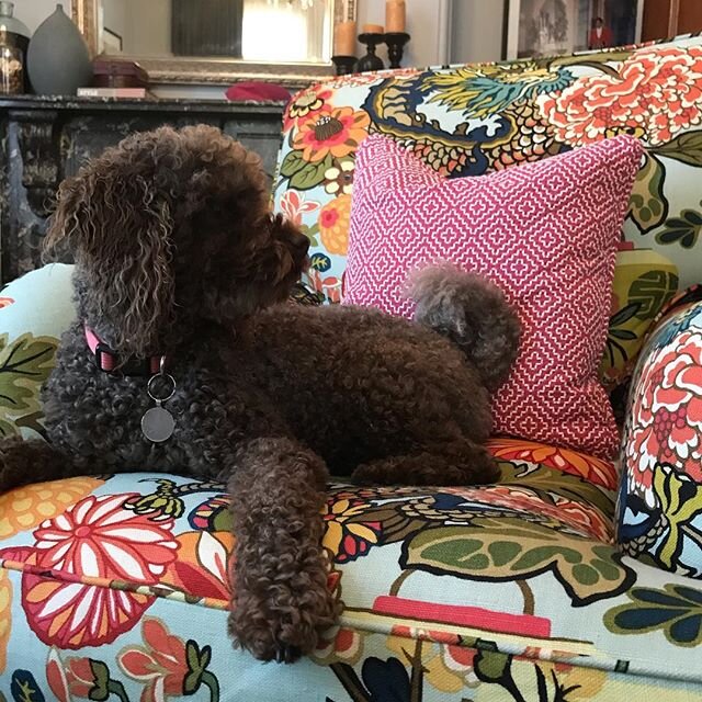 Are you meant to be sitting on the Schumacher Chiang Mai Dragon chair Milly-Coco?