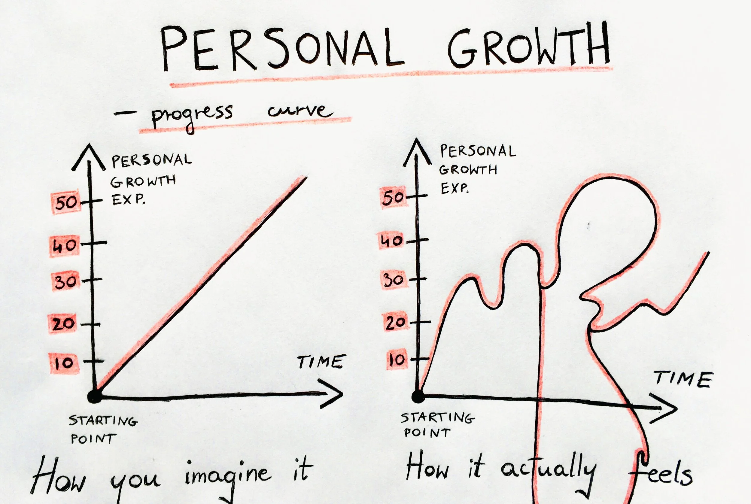 https://images.squarespace-cdn.com/content/v1/51d95a67e4b0108eefe17101/1613149275833-LD1NMRT33GMGTL2DECKY/Personal%2BGrowth%2BChart.jpeg