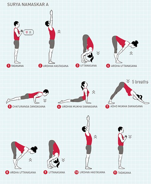 Yoga Basics: How To Do Sun Salutation A (video included!)