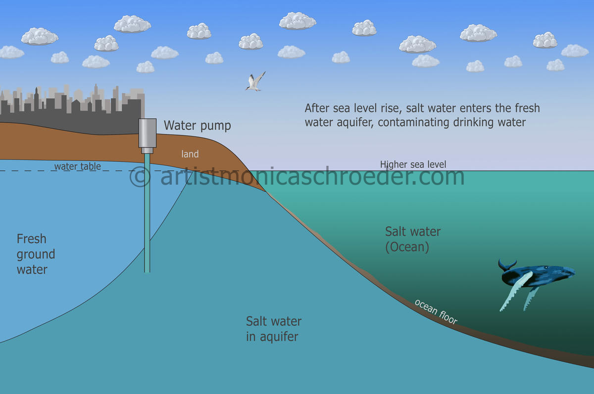 Salt Water Inundation Due to Climate Change