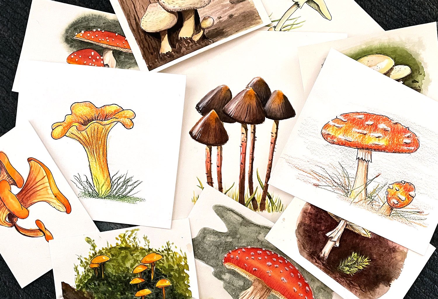 mushroom-group copy.jpg