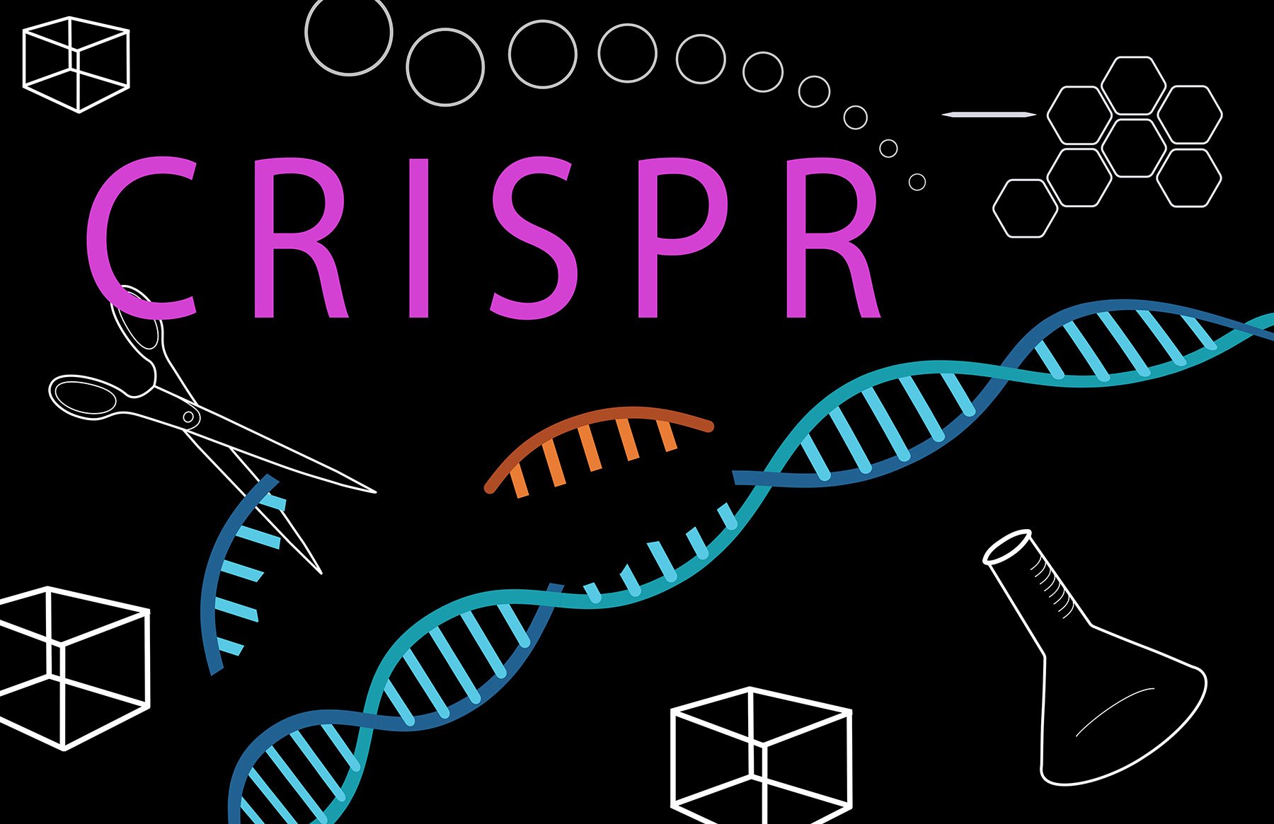 Conceptual Illustration of CRISPR Gene Editing
