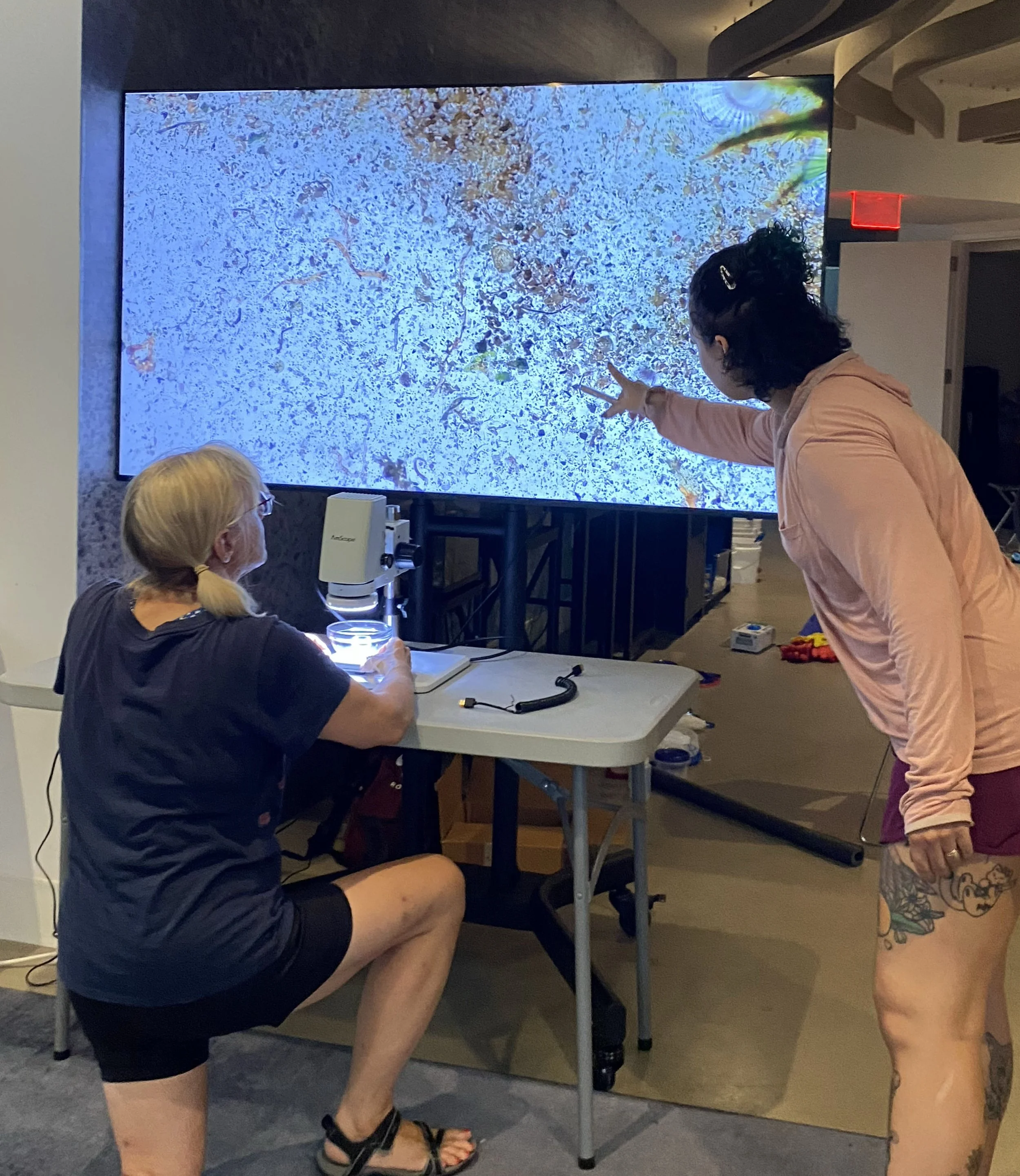 Science drawing using the microscope