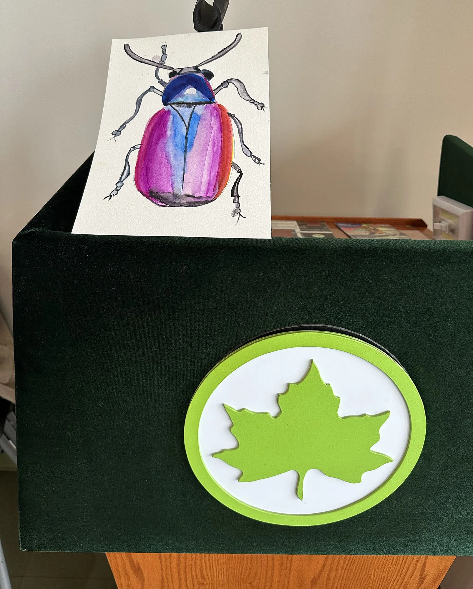 beetle at park dept.jpg