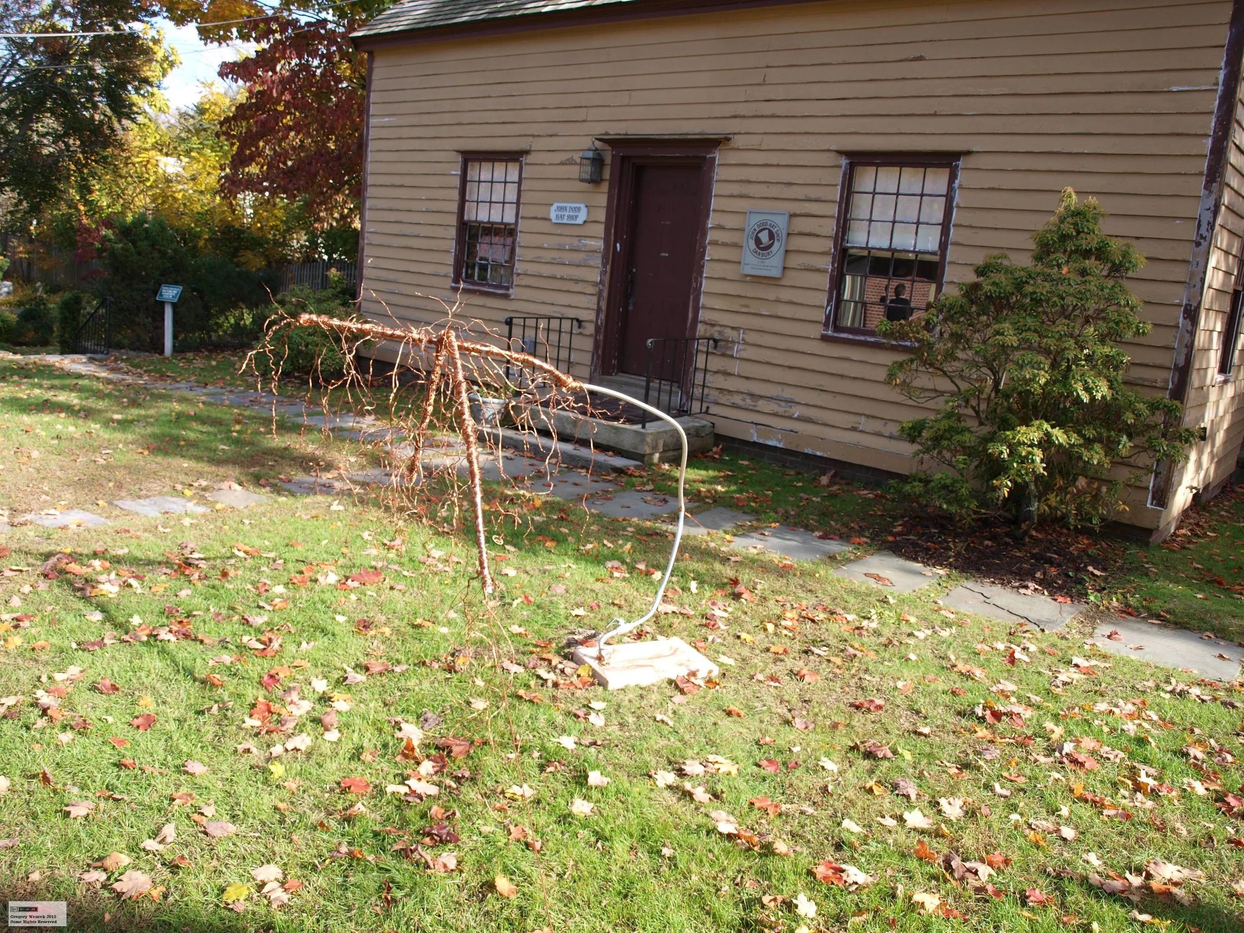 Danbury Museum/ Historical Society