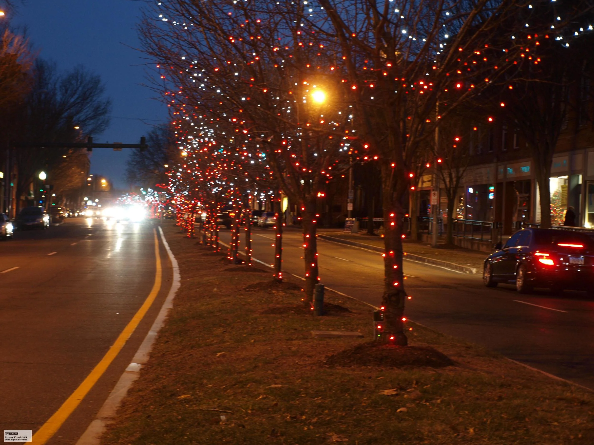 Main Street Lit trees.jpg