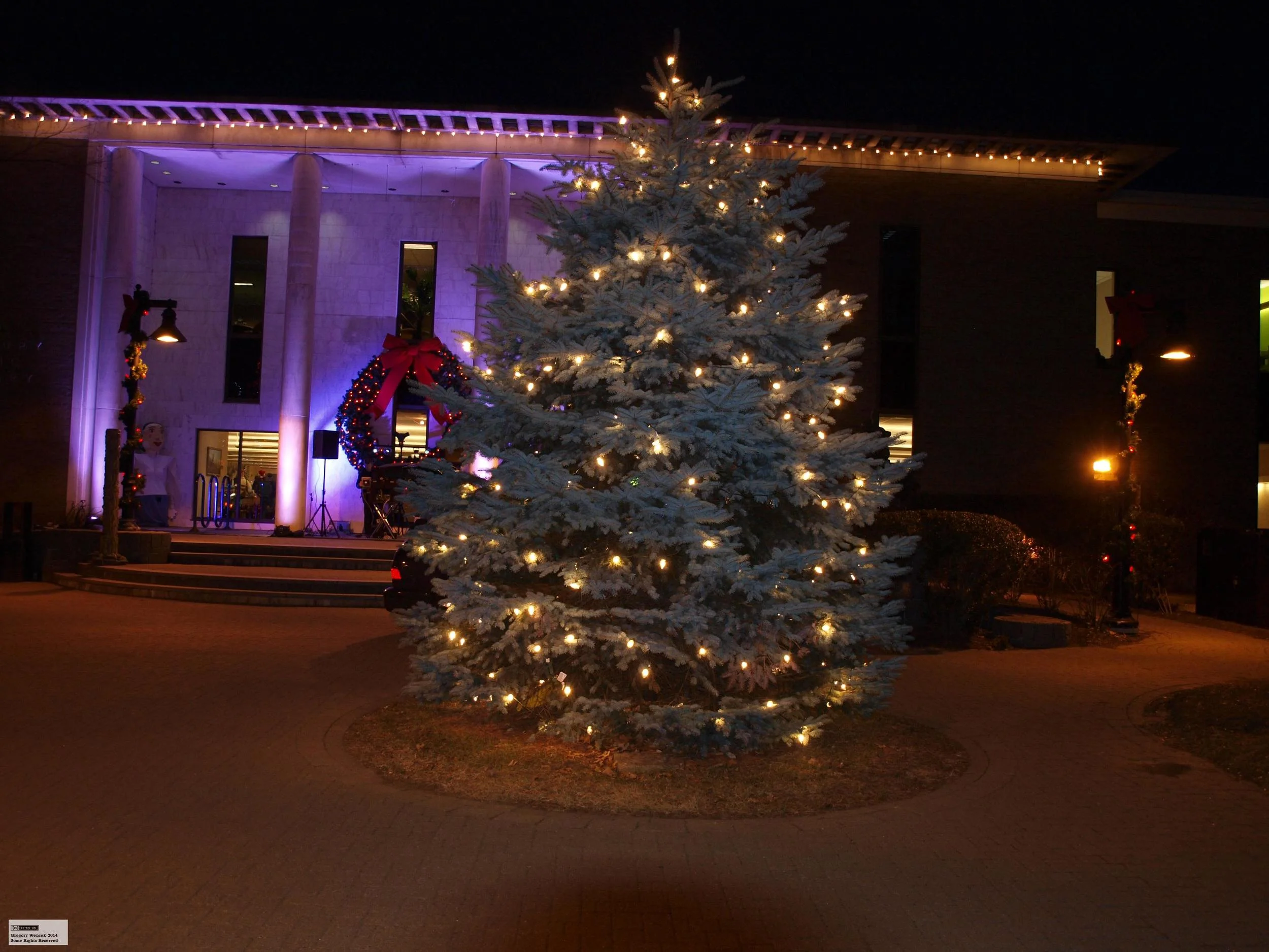 Library Plaza Christmas tree.jpg