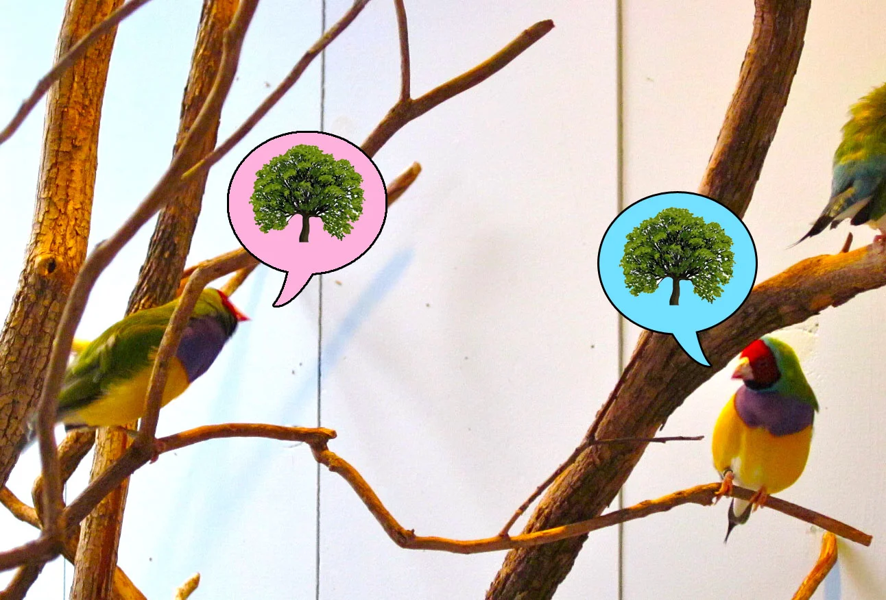 What Can We Learn? Part 1: The Nature Conservancy