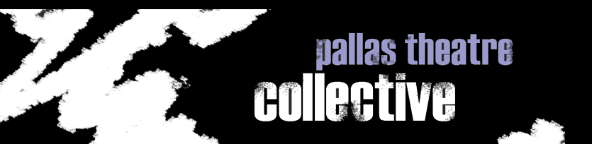 Present vs. Future Return on CRM Selection: Lessons from the Pallas Theatre Collective
