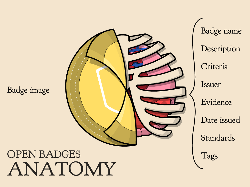 An Introduction to Open Badges — AMT Lab @ CMU