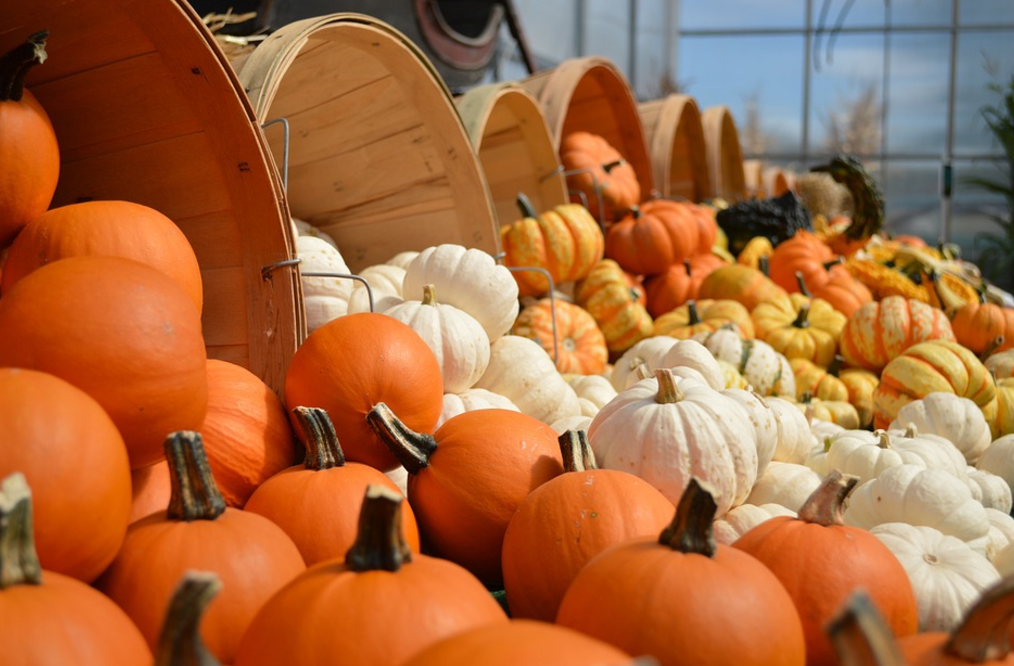 4 Technology Tips to Make the Most of Your Thanksgiving Weekend!