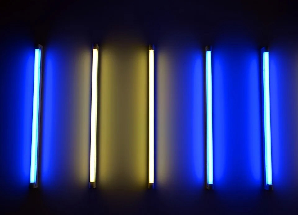 NeonCRM: Smart Integration with Cost in Mind