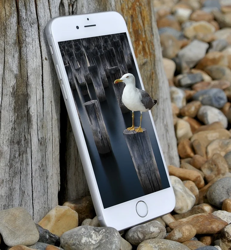  The Evolving Fusion of AR, Public Art, and Virtual Public Space