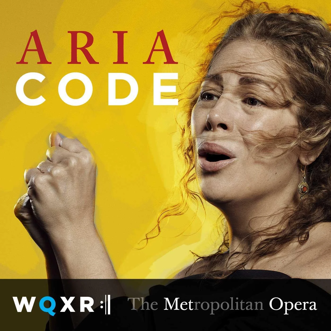 Aria Code Best for: Opera enthusiasts looking for deep-dives into the field’s most famous arias What to expect: MacArthur Genius Fellow and Grammy award-winning singer Rhiannon Giddens teams up with artists and experts to discuss the twists and turns of opera’s most famous arias, with full performances recorded onstage at the Metropolitan Opera. Find it on: iTunes , Stitcher More like this: The Metropolitan Opera Guild Podcast , The Opera Cheat Sheet