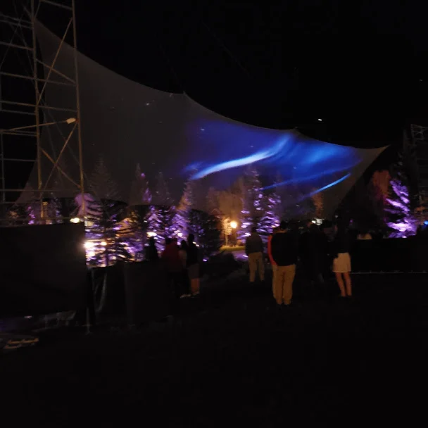 Northern light art being projected into the net while pine trees glowed purple in the background. Photo Credit: Alyssa Wroblewski