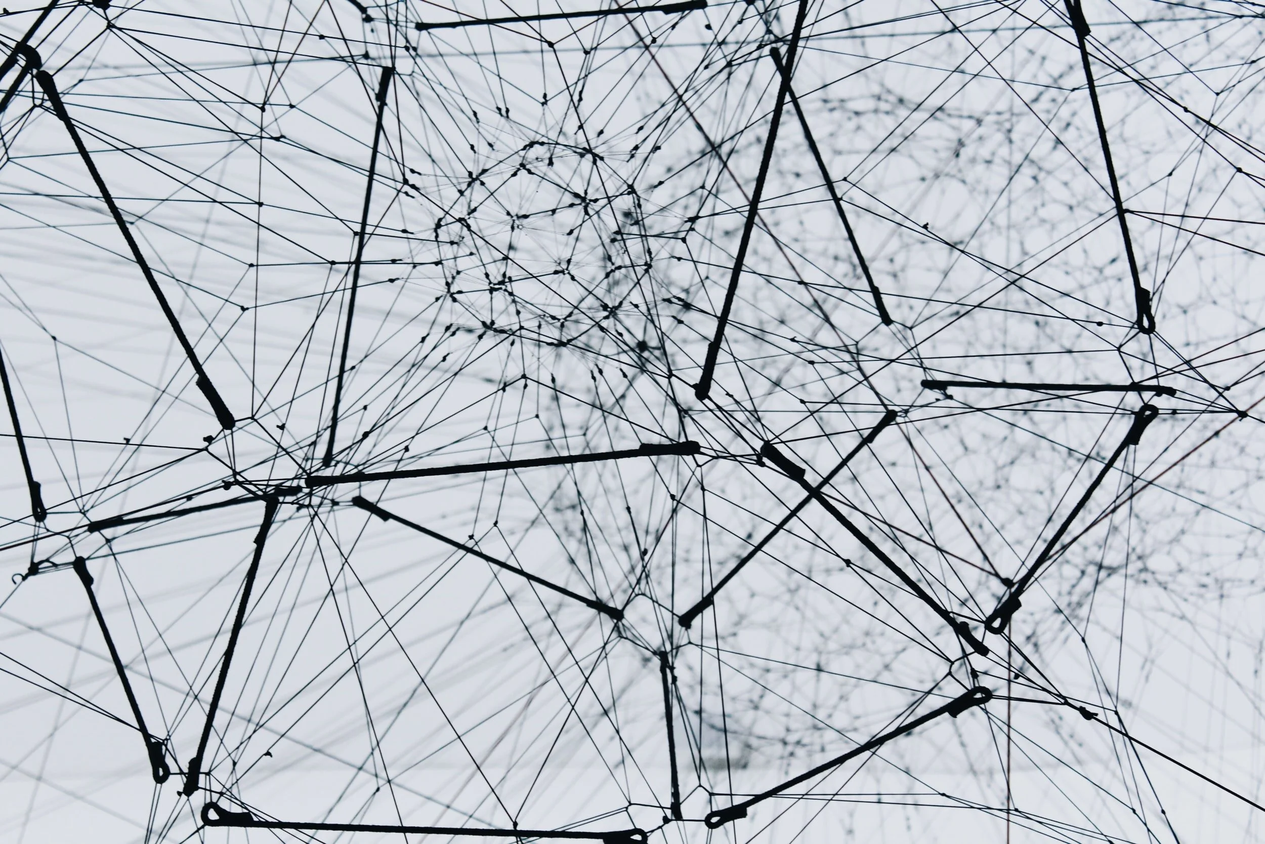 The Internet in 2021: Net Art, Data Privacy, and Community