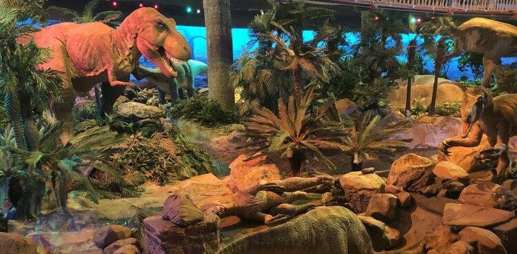 Figure 2: Image of the primitive forest replica at Petrosains. Source: The Star.