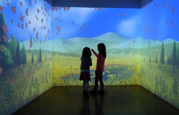 Touchless Technologies for Museum Engagement