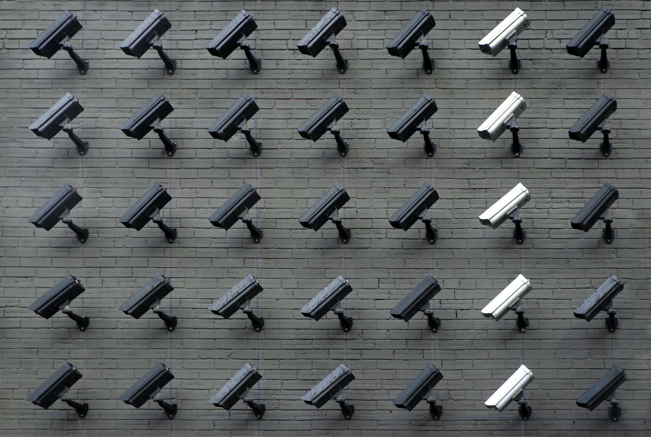 The Importance of Nonprofits' Prioritization of Patron Privacy