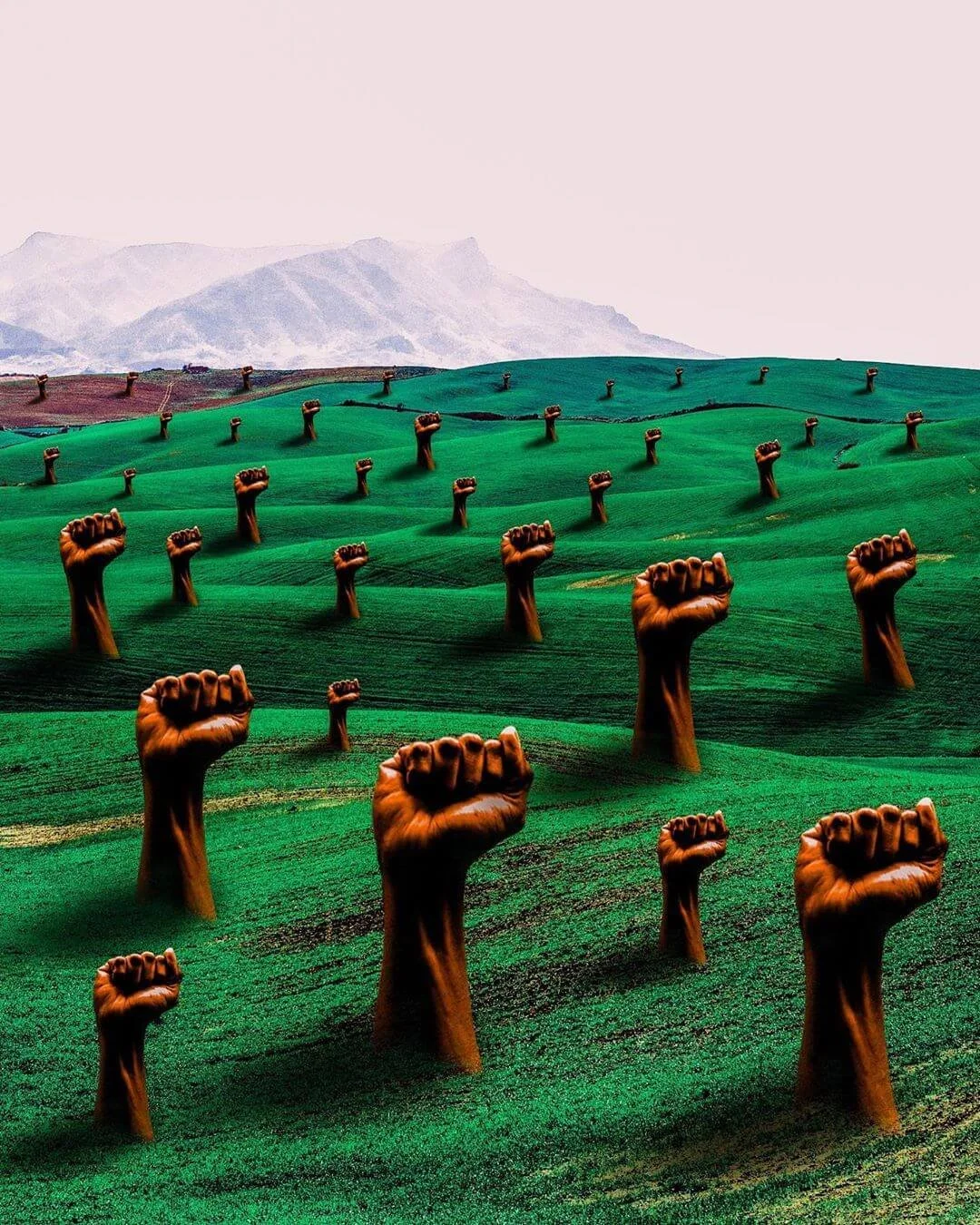 Digital image of a field of Black power fists in a mountain landscape.