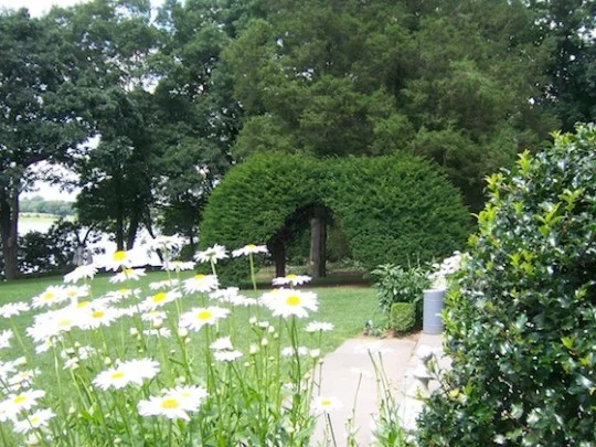 Wainwright House meditationgarden-wp-540x405.jpeg