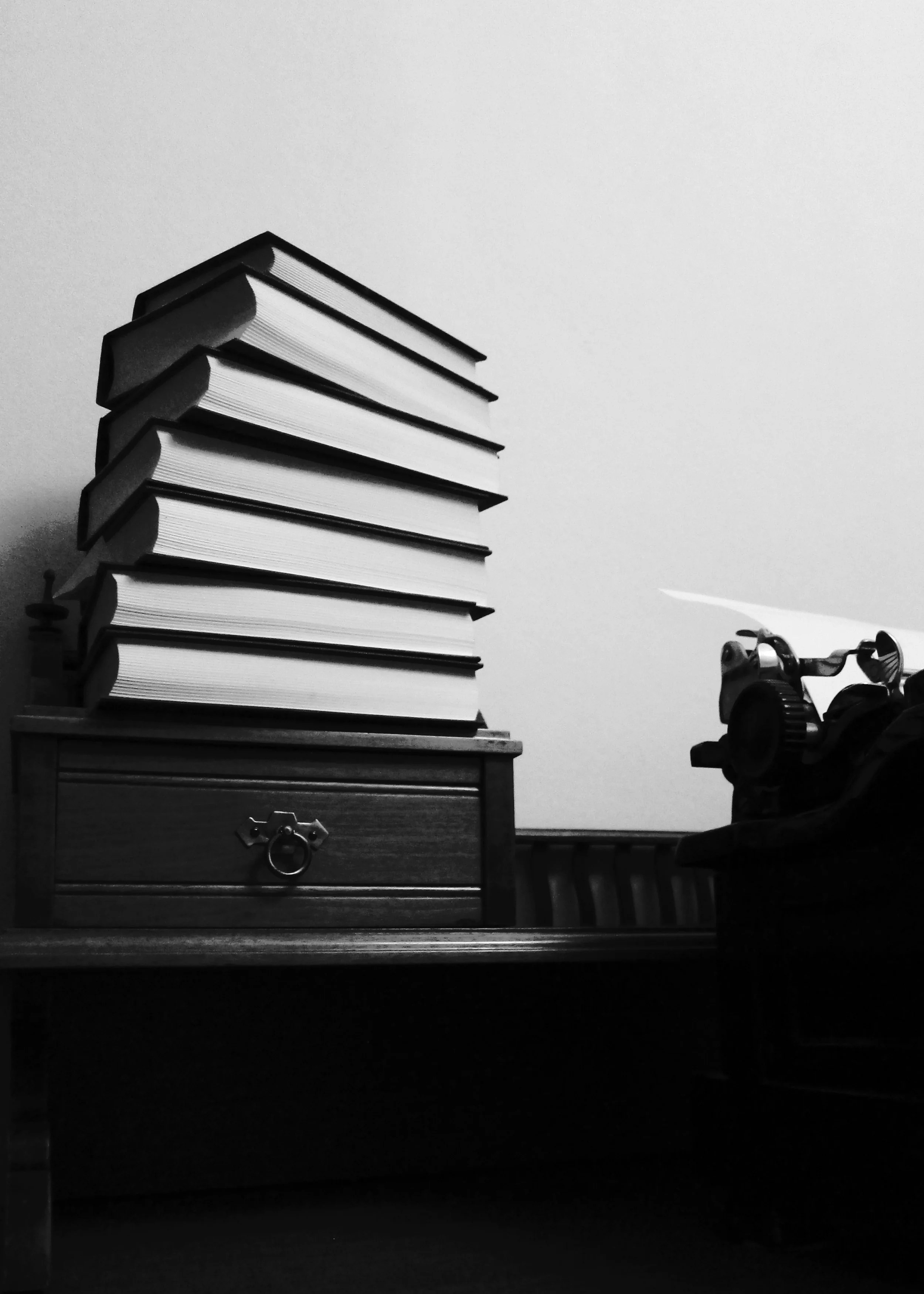 Bildserie, Litteratur