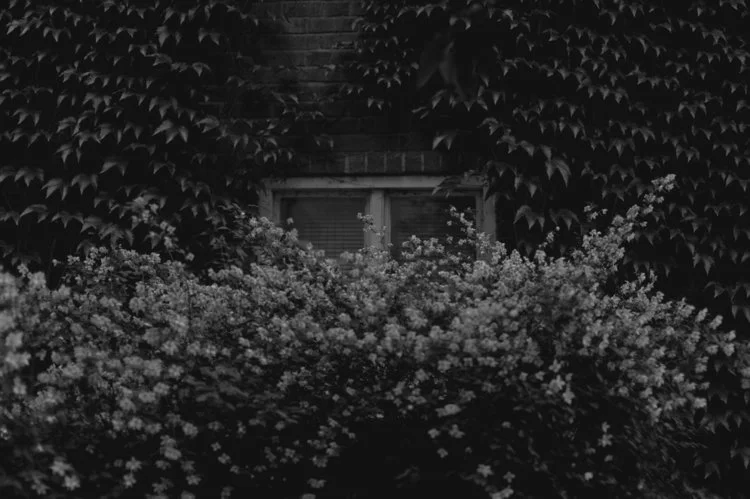 20130629_AnnaKatarina_241_webb.jpg