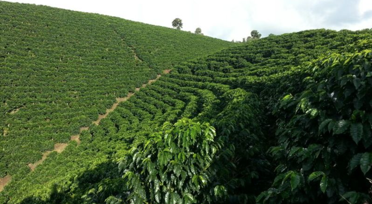 Asking the right questions