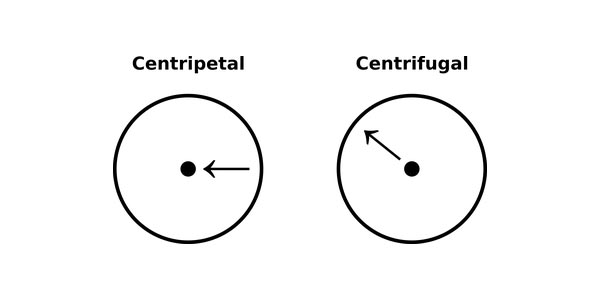 centripetal vs centifugal_3.jpg