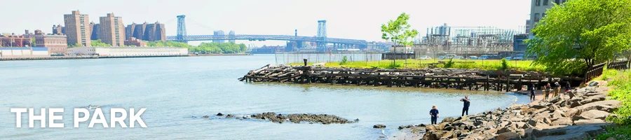 Image from Brooklyn Bridge Park Website