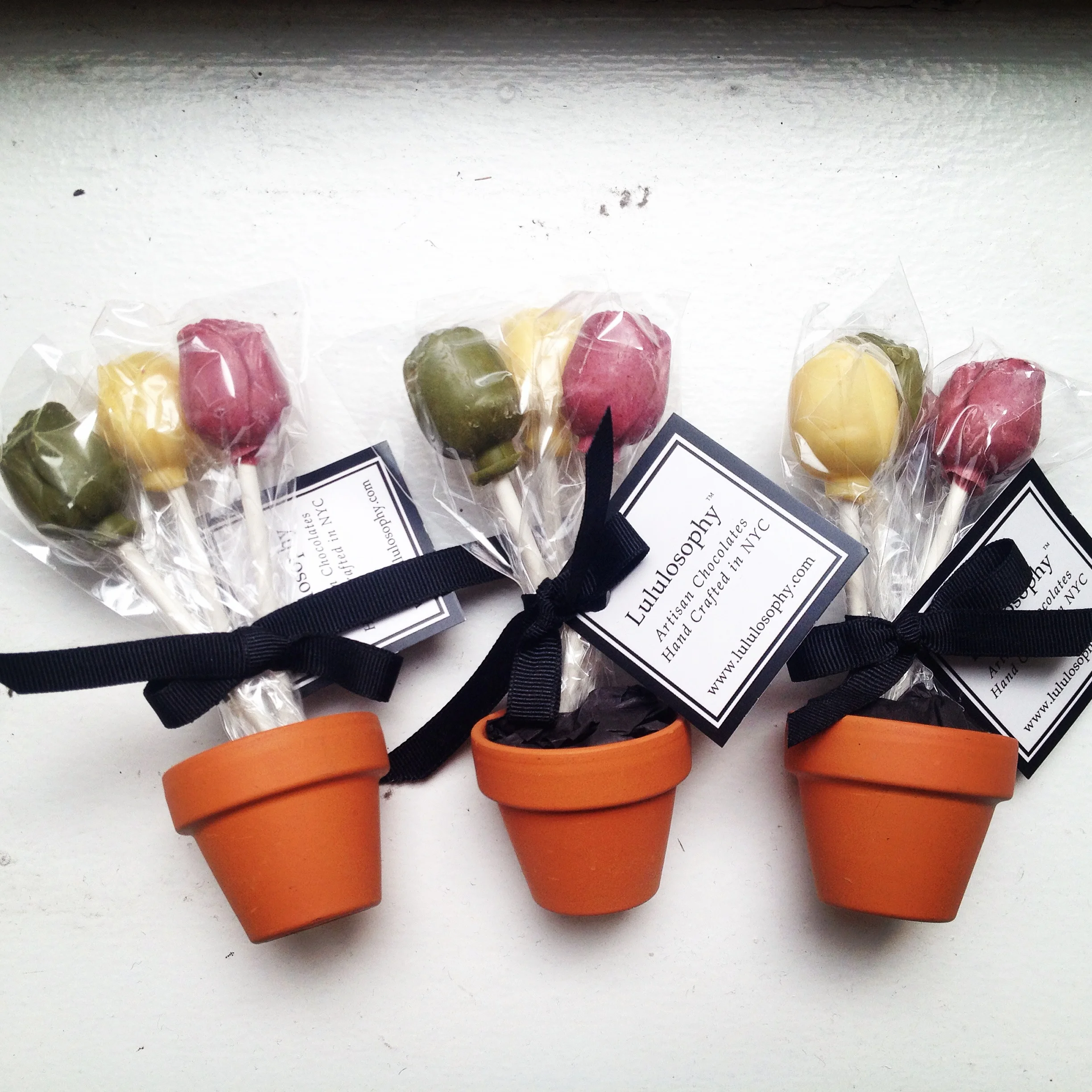 Potted Chocolate Rose Lollipops (Individual Pot w/ 3 Roses)