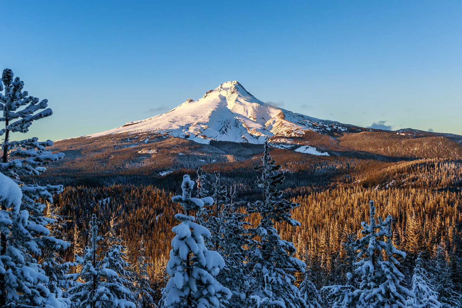 _MG_6995-Edit-3.jpg
