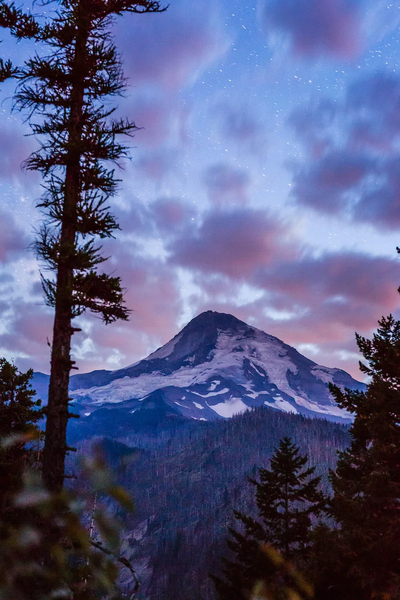 _MG_2334-Edit.jpg