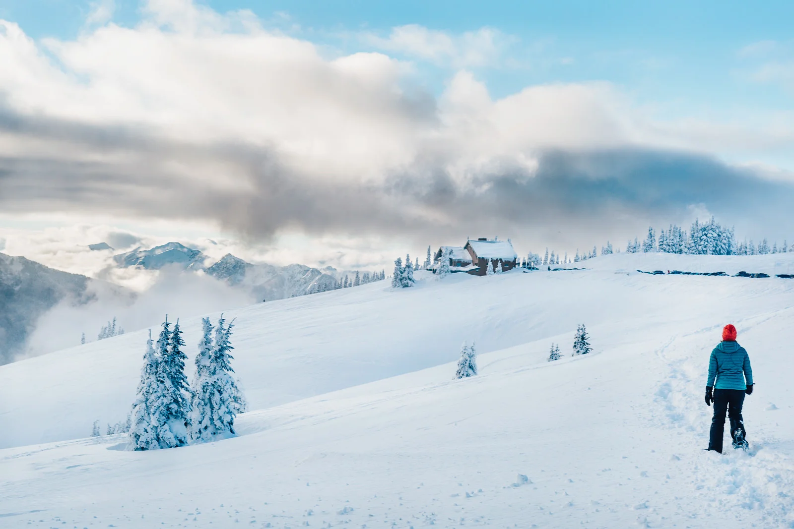 _MG_7885-Edit.jpg