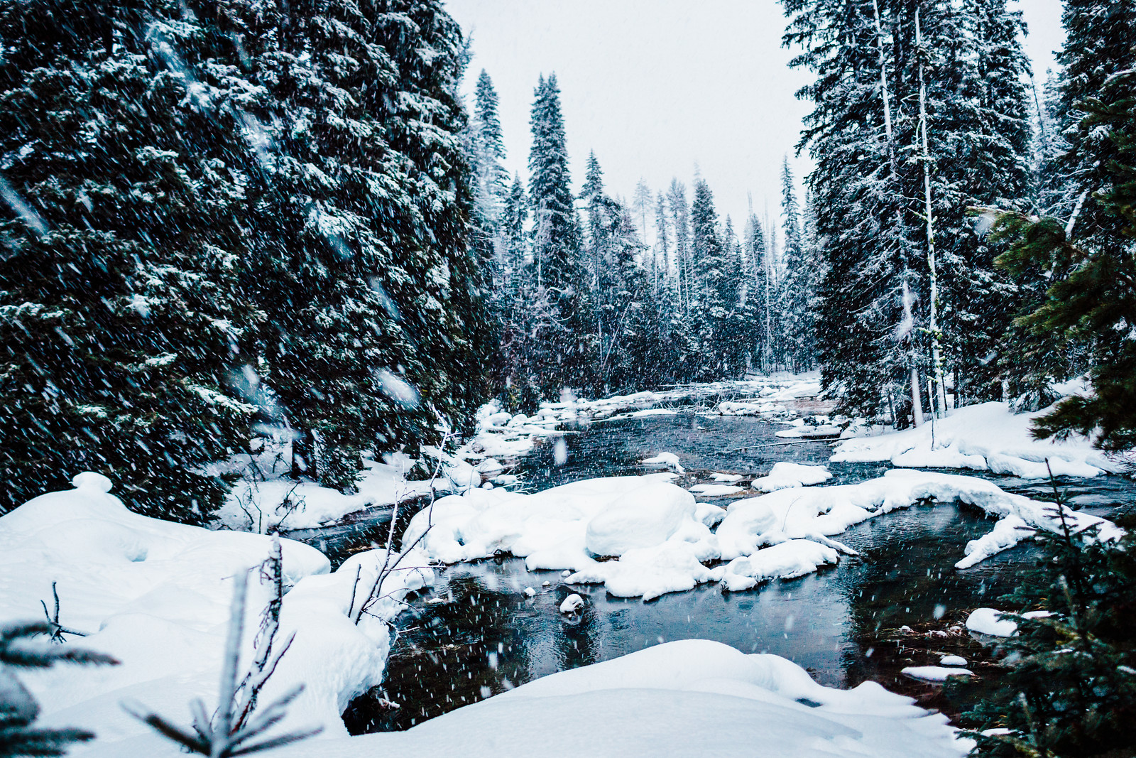 _MG_8812-Pano-Edit.jpg