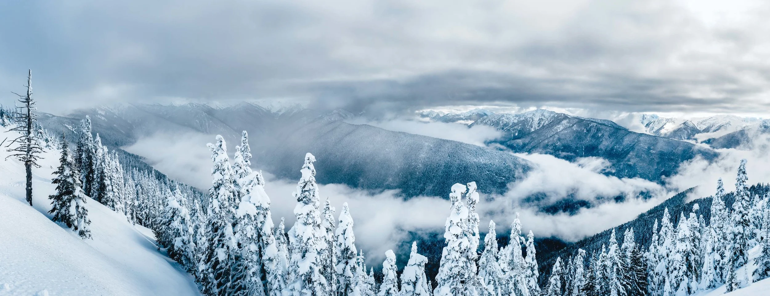 olympic-national-park.jpg
