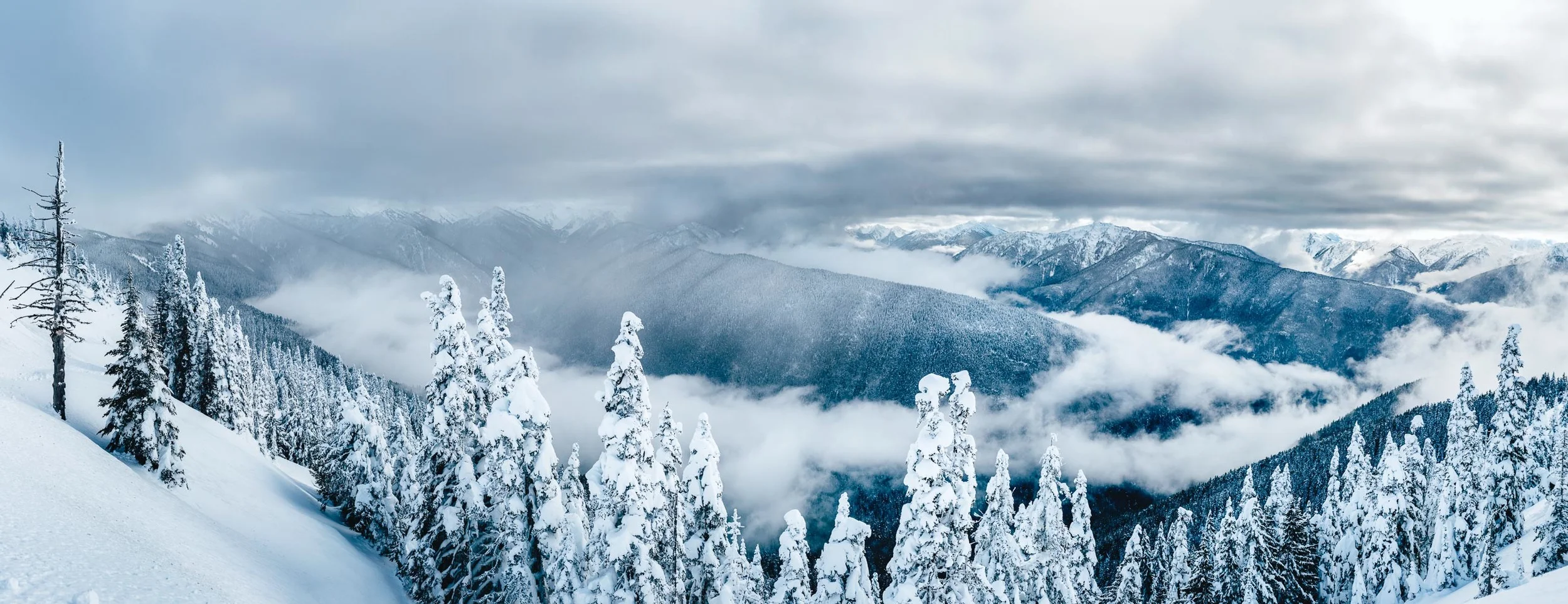 _MG_7743-Pano-Edit.jpg