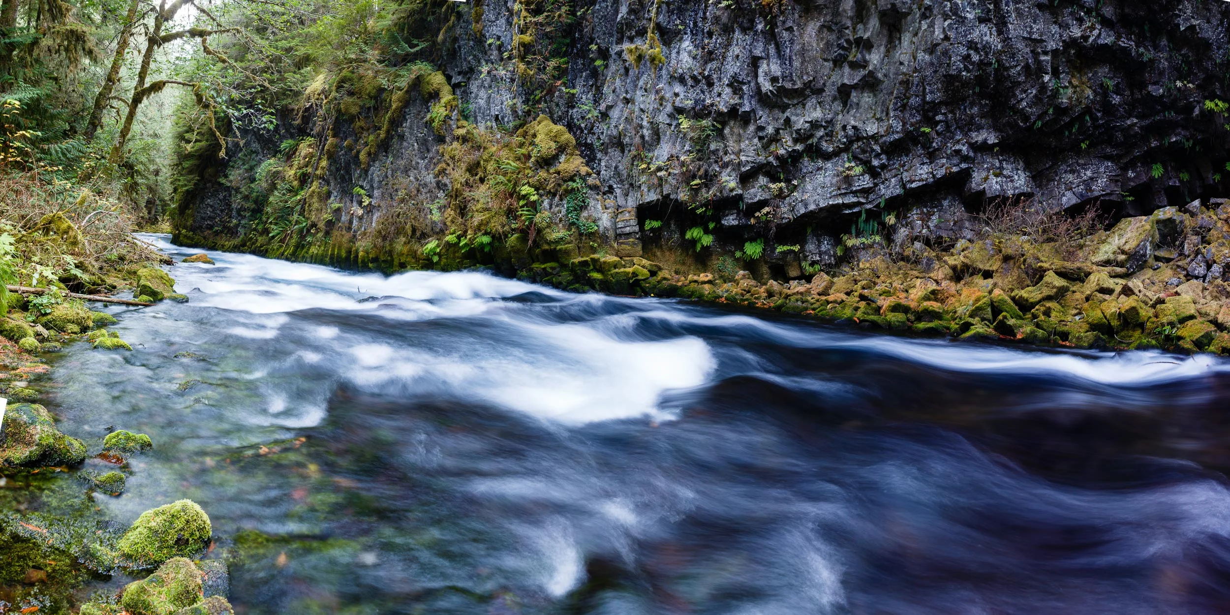 _MG_0213-Pano.jpg
