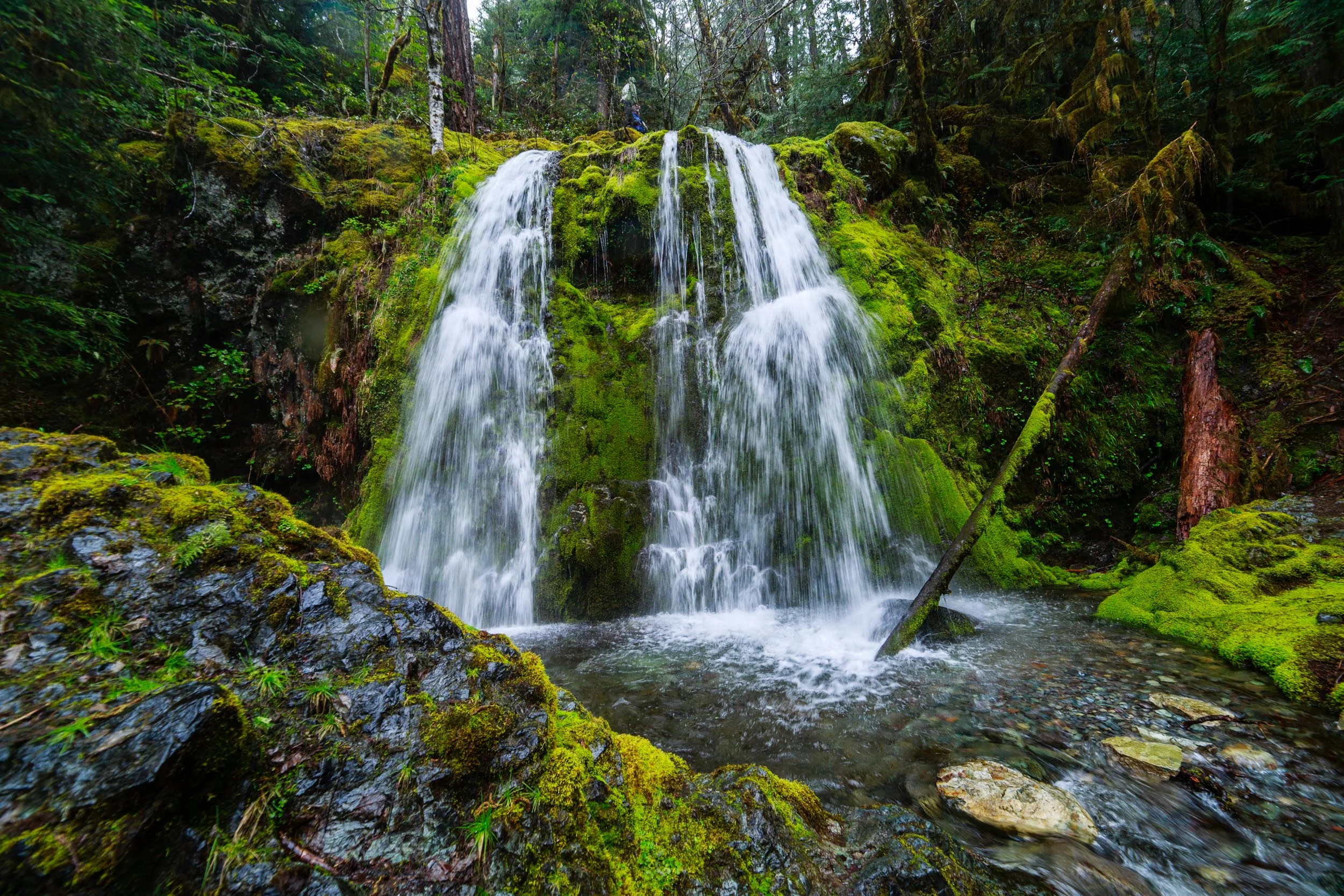 _MG_5600.jpg