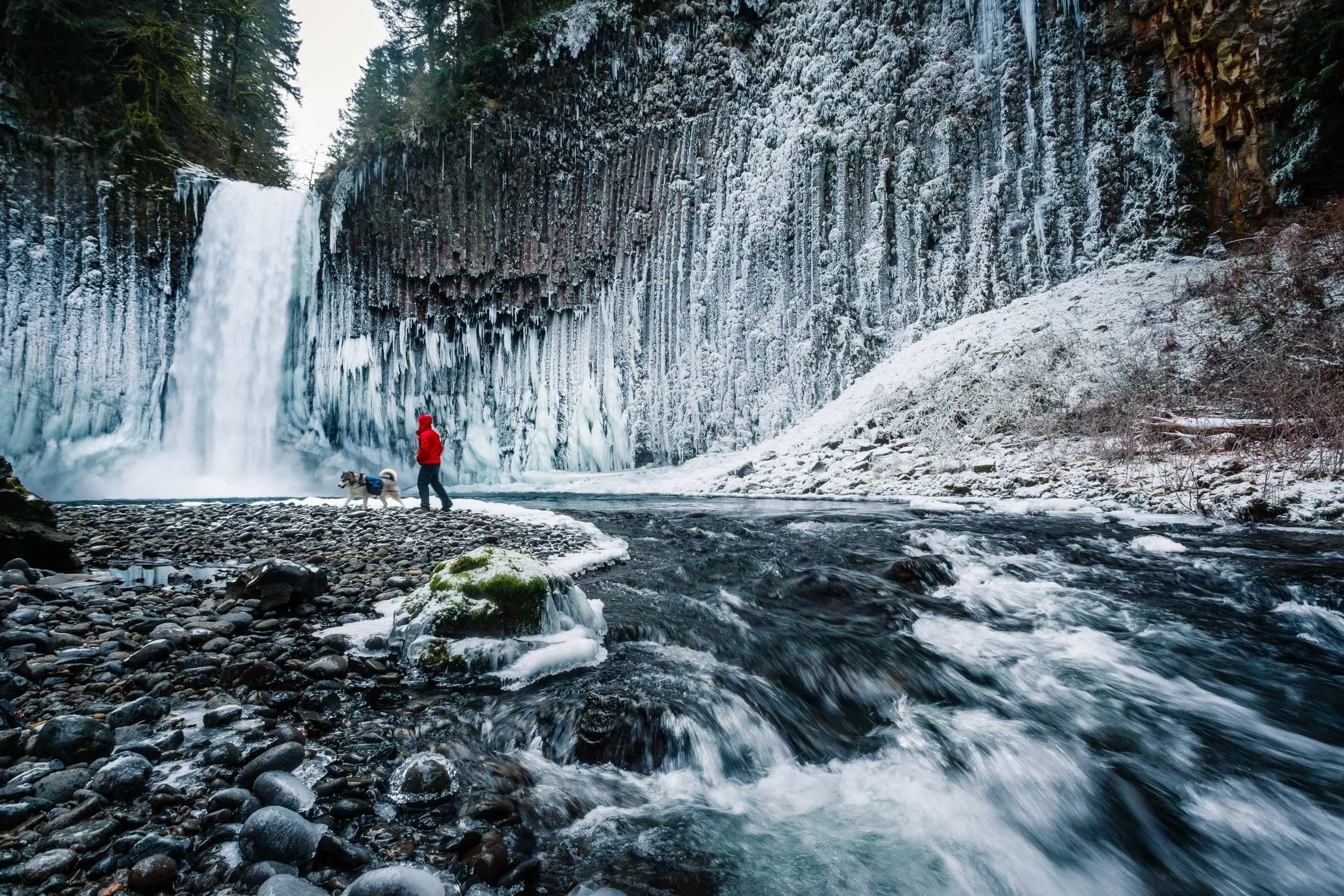 _MG_5658.jpg